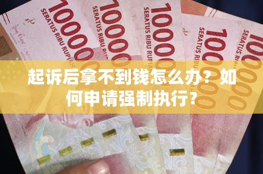 济南起诉后拿不到钱怎么办？如何申请强制执行？