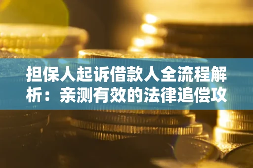 济南担保人起诉借款人全流程解析：亲测有效的法律追偿攻略