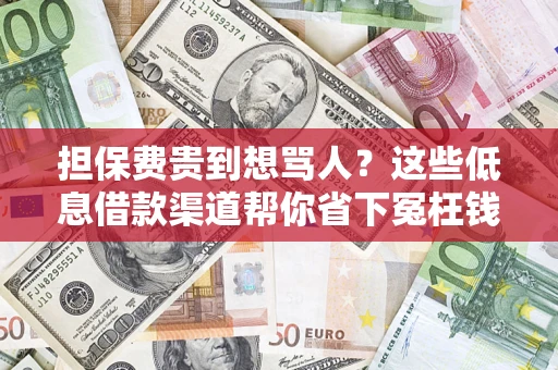 济南担保费贵到想骂人？这些低息借款渠道帮你省下冤枉钱