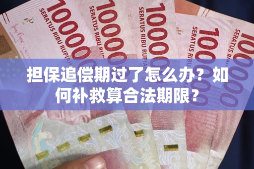 济南担保追偿期过了怎么办？如何补救算合法期限？