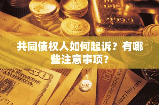 济南共同债权人如何起诉？有哪些注意事项？